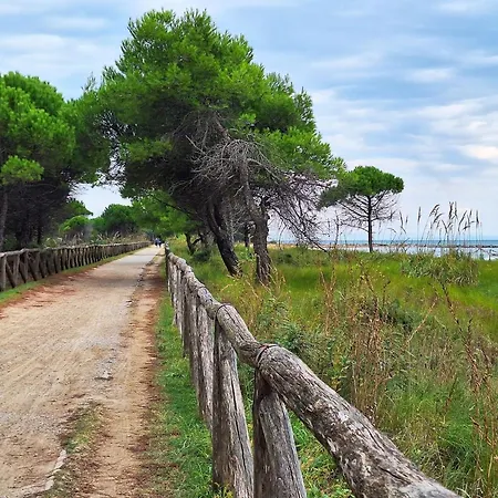 Luminous Seaside Flat For 4 Guests - Beahost Bibione